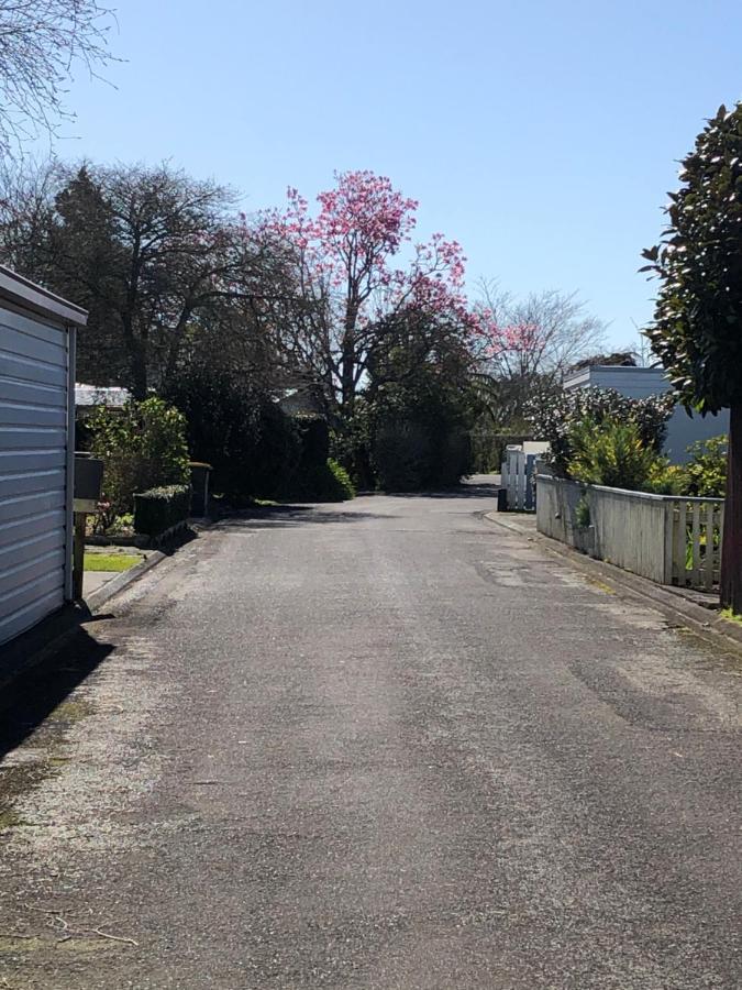 Inglewood Shared Home Bnb New Plymouth Exterior foto